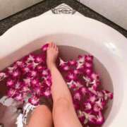 ヒメ日記 2025/11/26 15:01 投稿 にこる 人妻癒し倶楽部