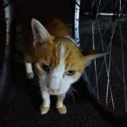 ヒメ日記 2026/02/04 11:04 投稿 ほのり 奥様の実話 なんば店