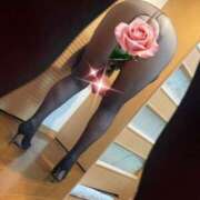 ヒメ日記 2025/01/20 11:01 投稿 きょうか 即アポマダム～名古屋店～