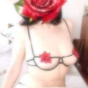 ヒメ日記 2025/04/04 10:54 投稿 きょうか 即アポマダム～名古屋店～