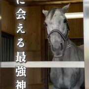 ヒメ日記 2026/01/03 10:44 投稿 きょうか 即アポマダム～名古屋店～