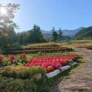 ヒメ日記 2025/10/23 17:55 投稿 みよ 即アポマダム～名古屋店～