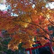 ヒメ日記 2025/11/30 21:41 投稿 みよ 即アポマダム～名古屋店～