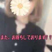 ヒメ日記 2026/03/12 02:21 投稿 ゆきな 即アポマダム～名古屋店～