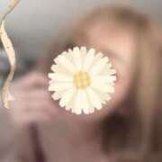 ヒメ日記 2026/03/16 09:09 投稿 ゆきな 即アポマダム～名古屋店～