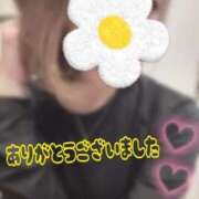 ヒメ日記 2026/03/27 19:09 投稿 ゆきな 即アポマダム～名古屋店～