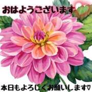 ヒメ日記 2026/05/26 09:51 投稿 ゆきな 即アポマダム～名古屋店～