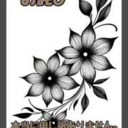 ヒメ日記 2026/08/30 08:45 投稿 ゆきな 即アポマダム～名古屋店～
