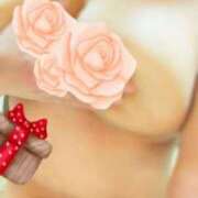 ヒメ日記 2025/02/24 14:35 投稿 ゆりえ 即アポマダム～名古屋店～