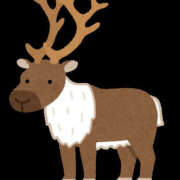 ヒメ日記 2024/12/25 09:35 投稿 たまき 新宿・新大久保おかあさん