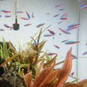 ヒメ日記 2025/08/19 11:30 投稿 たまき 新宿・新大久保おかあさん