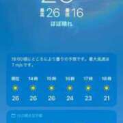 ヒメ日記 2025/04/19 13:56 投稿 めあ 川崎ソープ　クリスタル京都南町