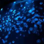 ヒメ日記 2025/05/07 23:46 投稿 めあ 川崎ソープ　クリスタル京都南町