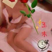 ヒメ日記 2025/04/15 07:37 投稿 玉木（たまき） 出張エロエロ本気ほぐしマッサージ