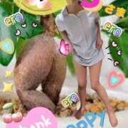 ヒメ日記 2025/04/27 07:02 投稿 玉木（たまき） 出張エロエロ本気ほぐしマッサージ