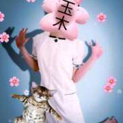 ヒメ日記 2026/04/07 16:51 投稿 玉木（たまき） 出張エロエロ本気ほぐしマッサージ