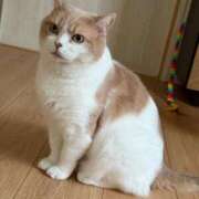 ヒメ日記 2025/03/26 20:43 投稿 ゆり 即プレイ専門店 性の極み