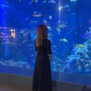 ヒメ日記 2025/04/27 22:06 投稿 ゆり 即プレイ専門店 性の極み