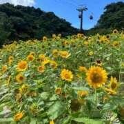 ヒメ日記 2025/05/05 21:56 投稿 ゆり 即プレイ専門店 性の極み