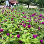 ヒメ日記 2025/05/06 18:16 投稿 ゆり 即プレイ専門店 性の極み