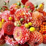 ヒメ日記 2025/05/27 21:26 投稿 ゆり 即プレイ専門店 性の極み