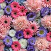 ヒメ日記 2025/05/30 21:16 投稿 ゆり 即プレイ専門店 性の極み