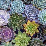 ヒメ日記 2025/06/01 21:16 投稿 ゆり 即プレイ専門店 性の極み