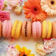 ヒメ日記 2025/06/05 23:56 投稿 ゆり 即プレイ専門店 性の極み