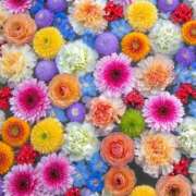 ヒメ日記 2025/06/08 21:26 投稿 ゆり 即プレイ専門店 性の極み