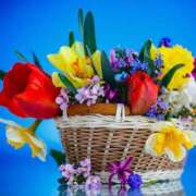 ヒメ日記 2025/06/22 16:36 投稿 ゆり 即プレイ専門店 性の極み