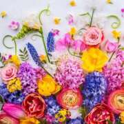 ヒメ日記 2025/07/05 00:06 投稿 ゆり 即プレイ専門店 性の極み