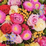 ヒメ日記 2025/07/11 21:46 投稿 ゆり 即プレイ専門店 性の極み