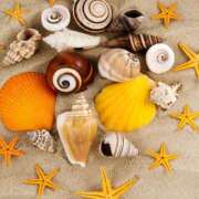 ヒメ日記 2025/07/12 22:26 投稿 ゆり 即プレイ専門店 性の極み