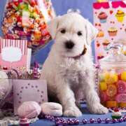 ヒメ日記 2025/08/07 17:26 投稿 ゆり 即プレイ専門店 性の極み