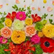 ヒメ日記 2025/08/27 20:36 投稿 ゆり 即プレイ専門店 性の極み