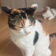 ヒメ日記 2025/09/03 20:56 投稿 ゆり 即プレイ専門店 性の極み