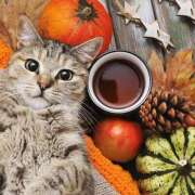 ヒメ日記 2025/09/06 20:56 投稿 ゆり 即プレイ専門店 性の極み