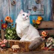 ヒメ日記 2025/09/22 16:26 投稿 ゆり 即プレイ専門店 性の極み