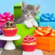 ヒメ日記 2025/10/03 21:56 投稿 ゆり 即プレイ専門店 性の極み