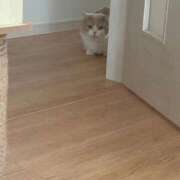 ヒメ日記 2025/10/08 20:36 投稿 ゆり 即プレイ専門店 性の極み