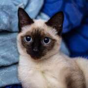 ヒメ日記 2025/10/25 21:16 投稿 ゆり 即プレイ専門店 性の極み