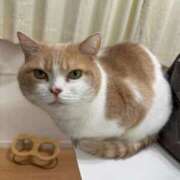 ヒメ日記 2025/10/27 18:46 投稿 ゆり 即プレイ専門店 性の極み