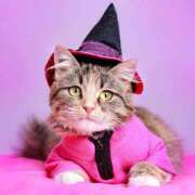 ヒメ日記 2025/11/02 22:06 投稿 ゆり 即プレイ専門店 性の極み