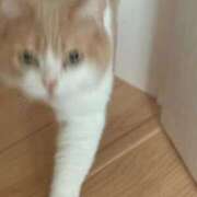 ヒメ日記 2025/11/15 21:26 投稿 ゆり 即プレイ専門店 性の極み