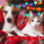 ヒメ日記 2025/12/18 16:46 投稿 ゆり 即プレイ専門店 性の極み