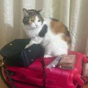 ヒメ日記 2026/01/03 21:06 投稿 ゆり 即プレイ専門店 性の極み