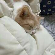 ゆり 今日もありがとう😊 即プレイ専門店 性の極み