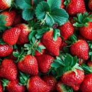 ヒメ日記 2026/02/05 20:56 投稿 ゆり 即プレイ専門店 性の極み