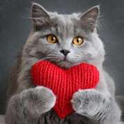 ヒメ日記 2026/02/06 15:56 投稿 ゆり 即プレイ専門店 性の極み