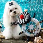 ヒメ日記 2026/02/21 00:36 投稿 ゆり 即プレイ専門店 性の極み